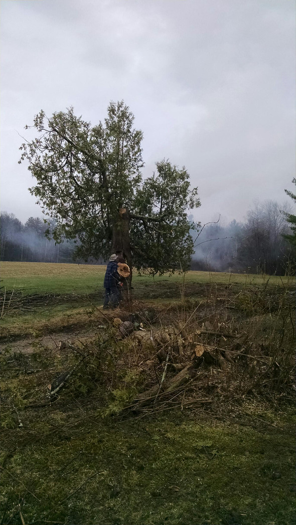 Driveway widening project