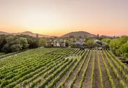 Estate Yountville