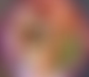 The Matcha pow(d)er breakfast bowl