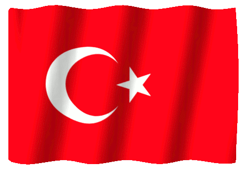 2.gif