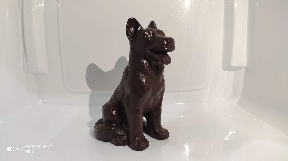Miniatura: Cachorro