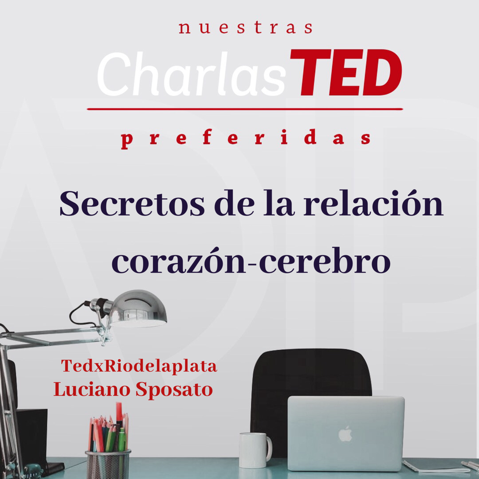 Secretos de la Relación corazón-cerebro
