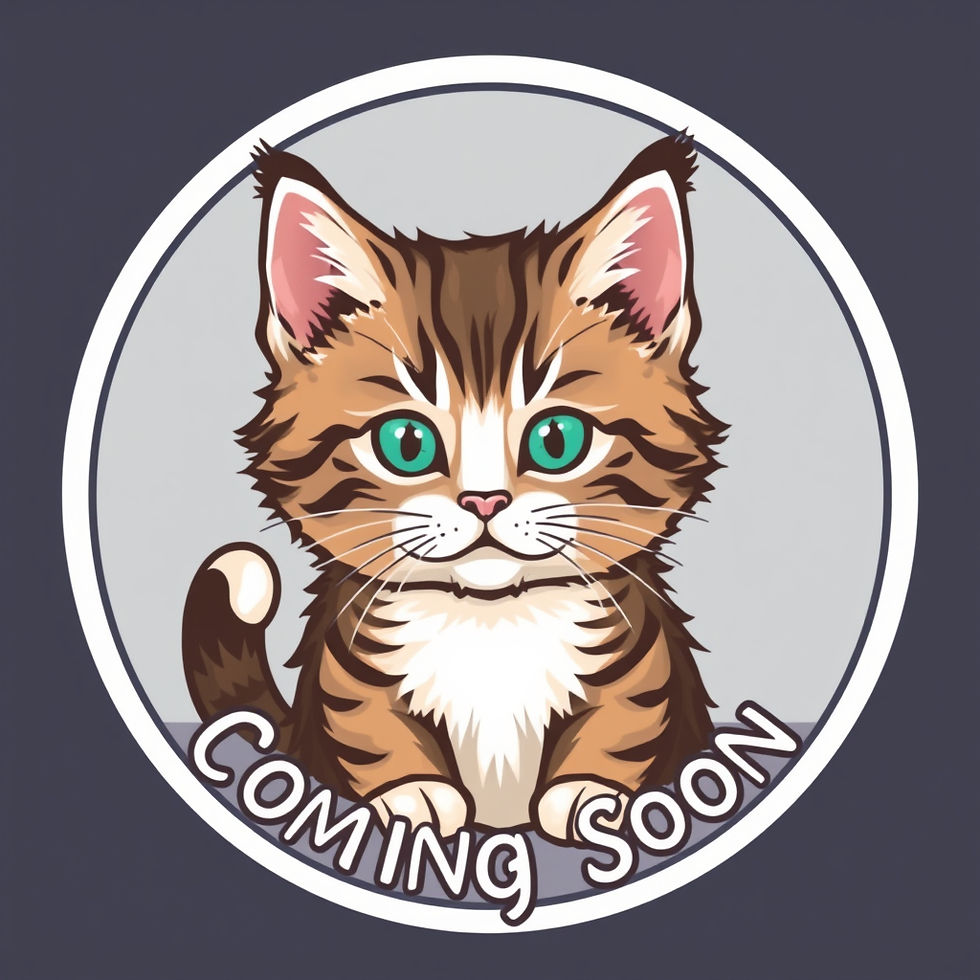 Maine Coon kitten with saying _Coming Soon_ circle logo