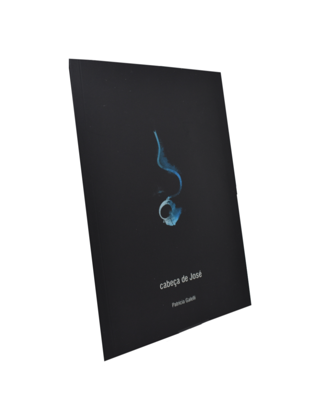 Cabeça de José, de Patrícia Galelli