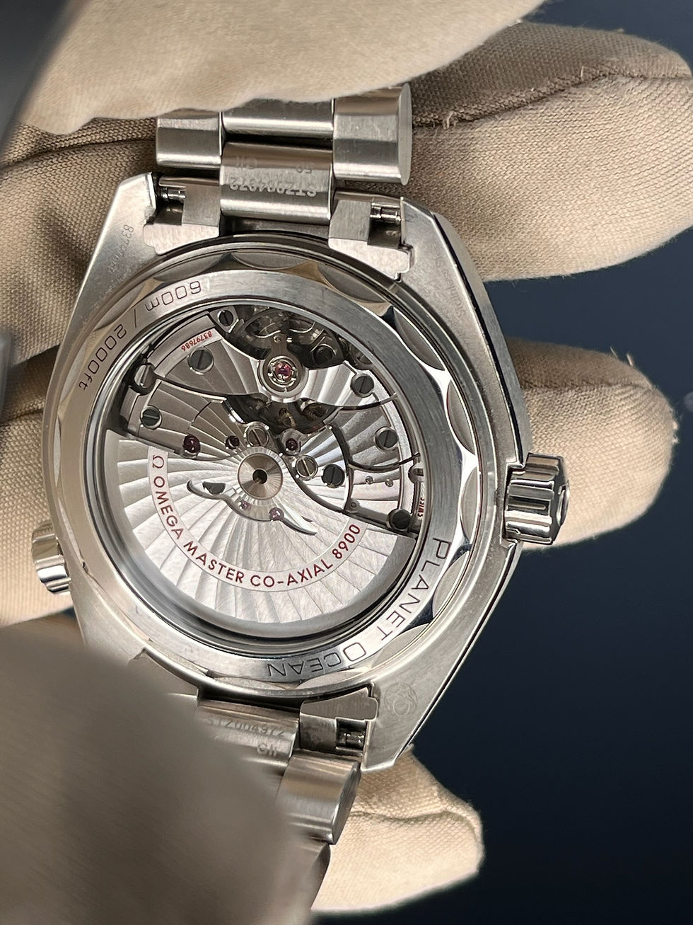 Thumbnail: Omega Planet Ocean -2024 - blue