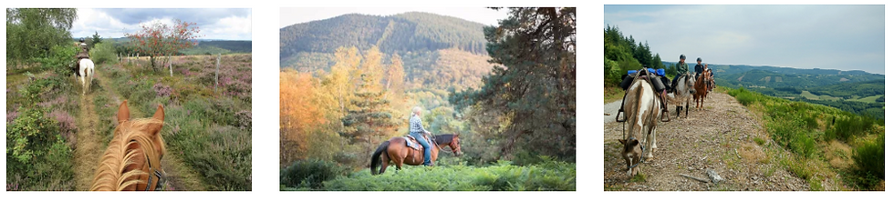 Randonnée à cheval au coeur de la Corrèze