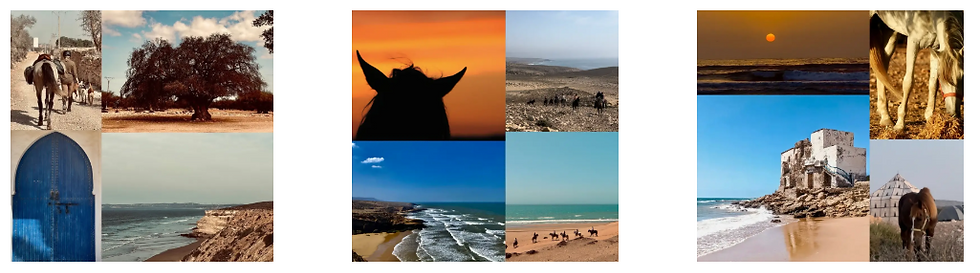 Balade et randonnée à cheval au Maroc, Essaouira