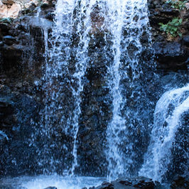 The Musings Collection