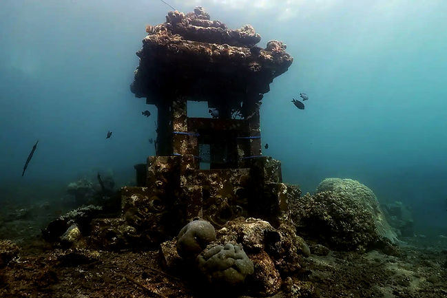 Jemeluk Bay Dive Site Amed Bali
