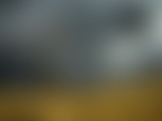 Storm 'Benjamin' trekt vandaag 23/10/2025 over ons land. Code oranje geldt voor wind voor de provincies Oost- en West-Vlaanderen en Antwerpen.