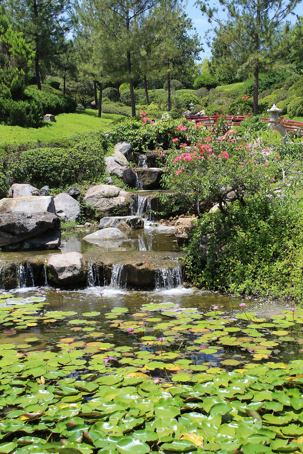 Jardin Oriental | JARDINES DE MEXICO