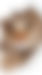 IMG_0795.jpeg