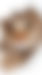 IMG_0795.jpeg