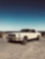 mustang_web_3.jpg