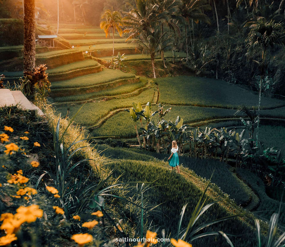 things-to-do-ubud