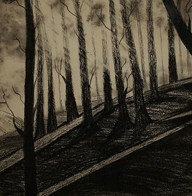The Real Black Forest - Charcoal Art  