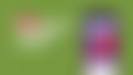 How often you should post on social media?