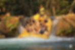 Combo Bote Eco Park Bonito MS Junho
