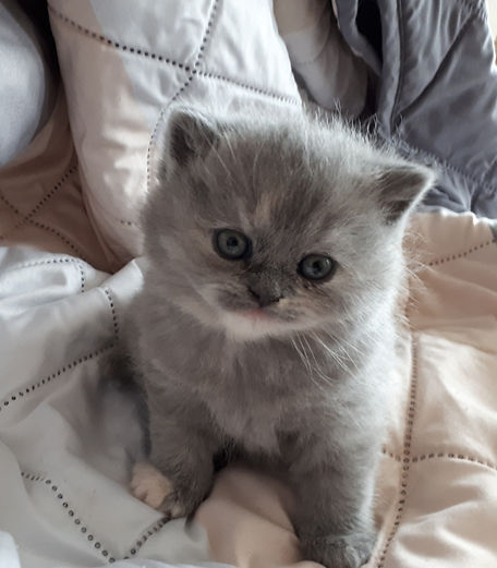 20190505_Frieda komp.jpg