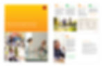 Wells Fargo Divorce Brochure