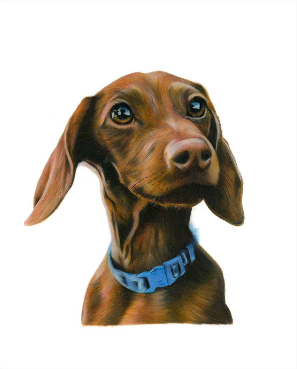 Bethan Rose Fine Art