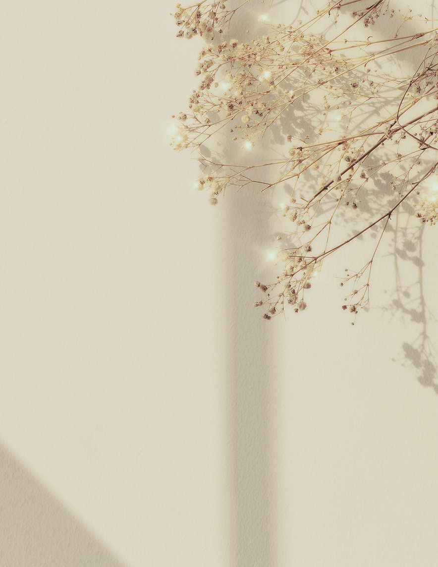 Untitled design-4.png