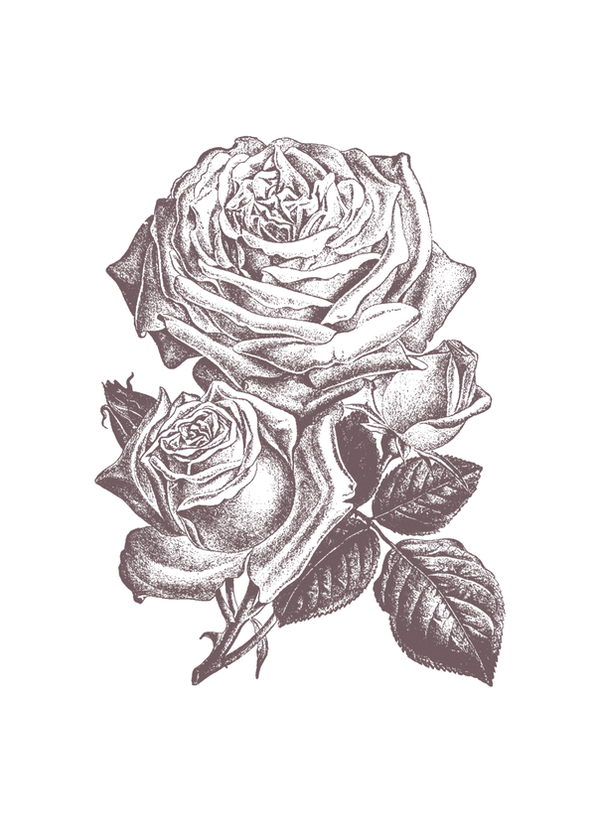 Roses, Too (5).png