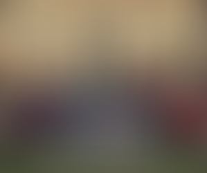 2016-2017 UPD International Student Exchange Program