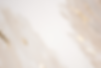 Website Header background.png