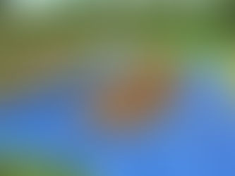 Vídeo mostra como fazer adubo orgânico 100% vegetal.