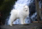 Casper