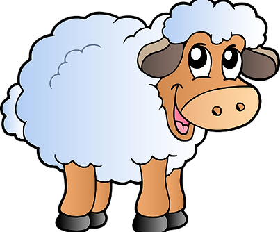 sheep