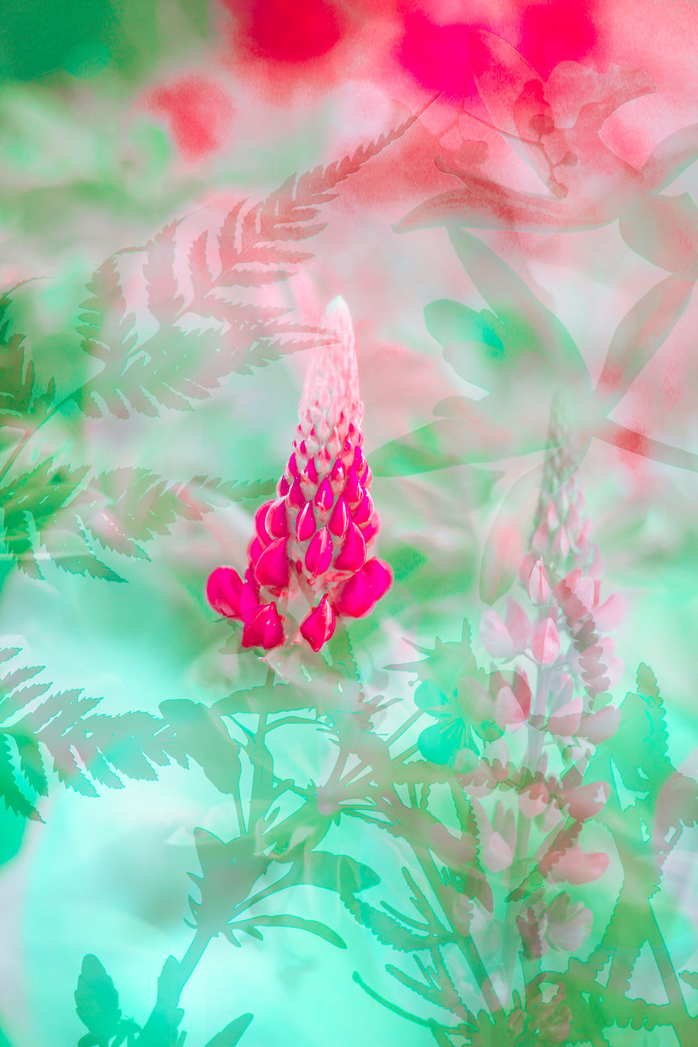 flower fairy