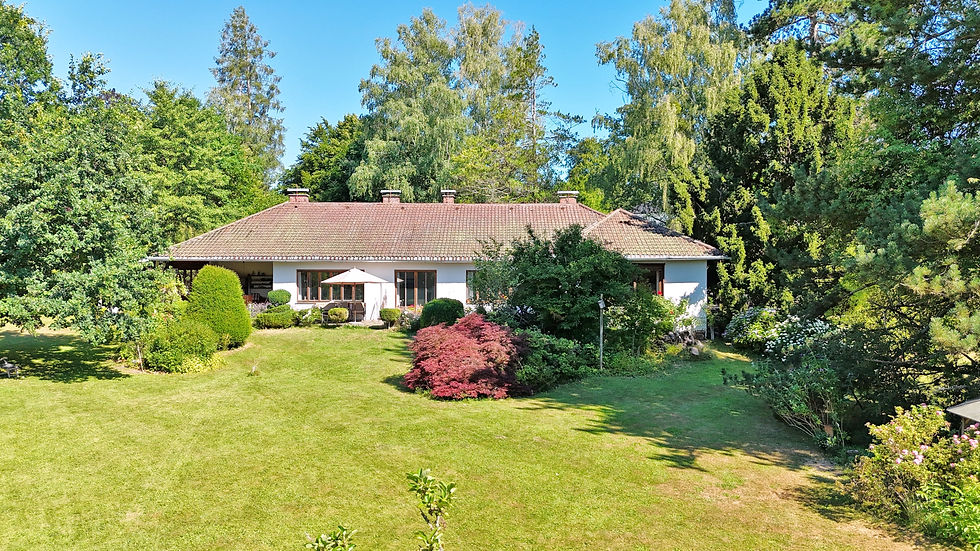 Moodborad Gelb Immobilien