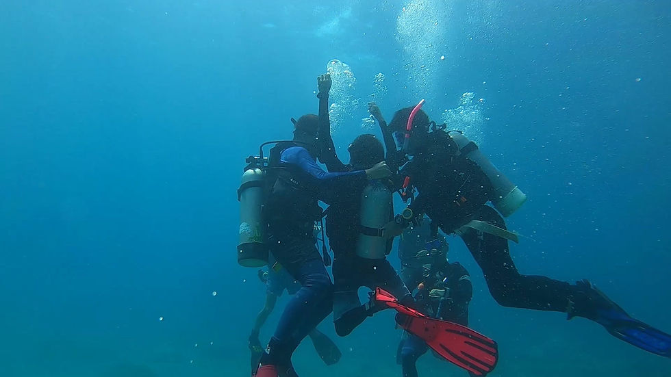 01 Rescue.mp4_20200920_141234.659.jpg