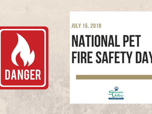 July 15th ~ National Pet Fire Safety Day