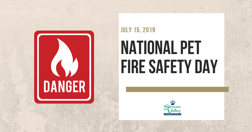 July 15th National Pet Fire Safety Day