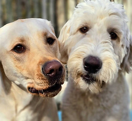 Millie and Daisy
