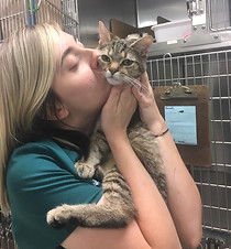 amber kiss cat.jpg