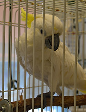 DSC_0247.JPG
