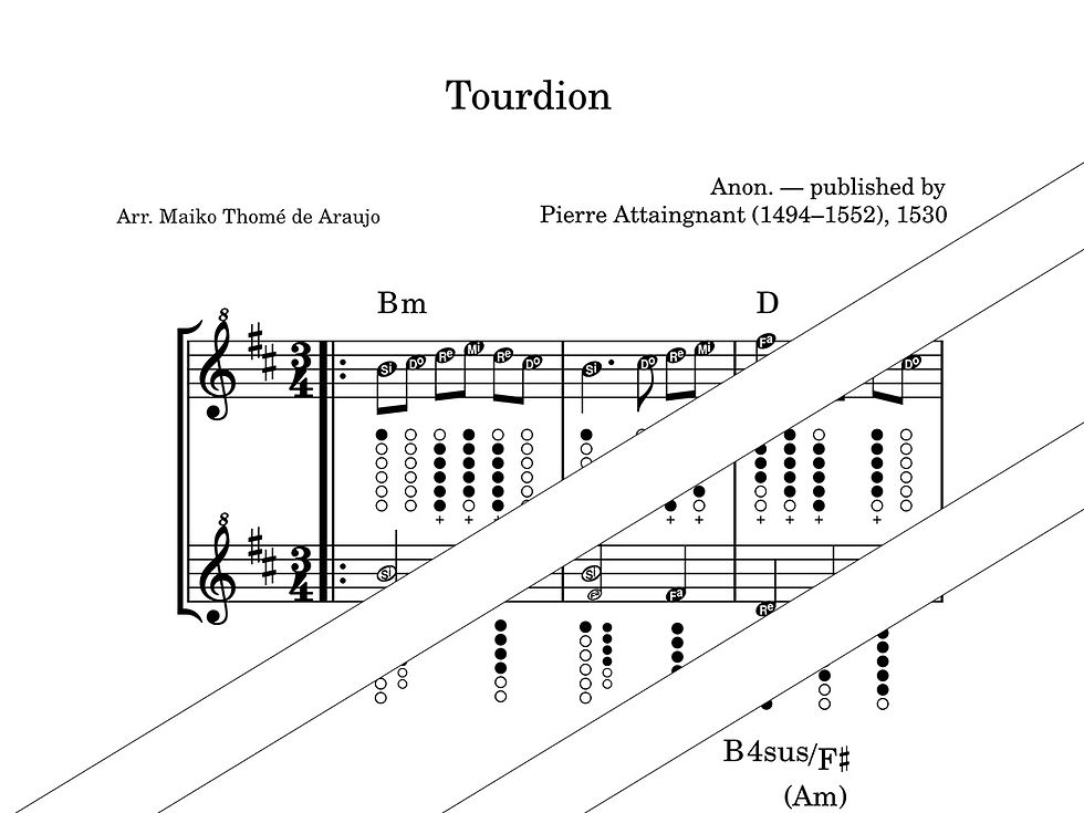 Tourdion - Tin Whistle 1 SELL.jpg