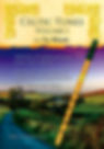 Tin Whistle