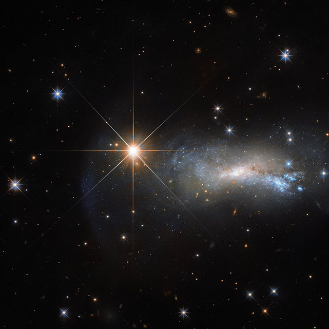 とかげ座にある非常に強い光で輝く星「TYC 3203-450-1」と不規則銀河「