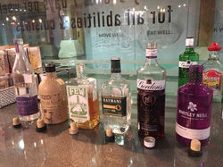 The Gin Tasting Experience January 2018
