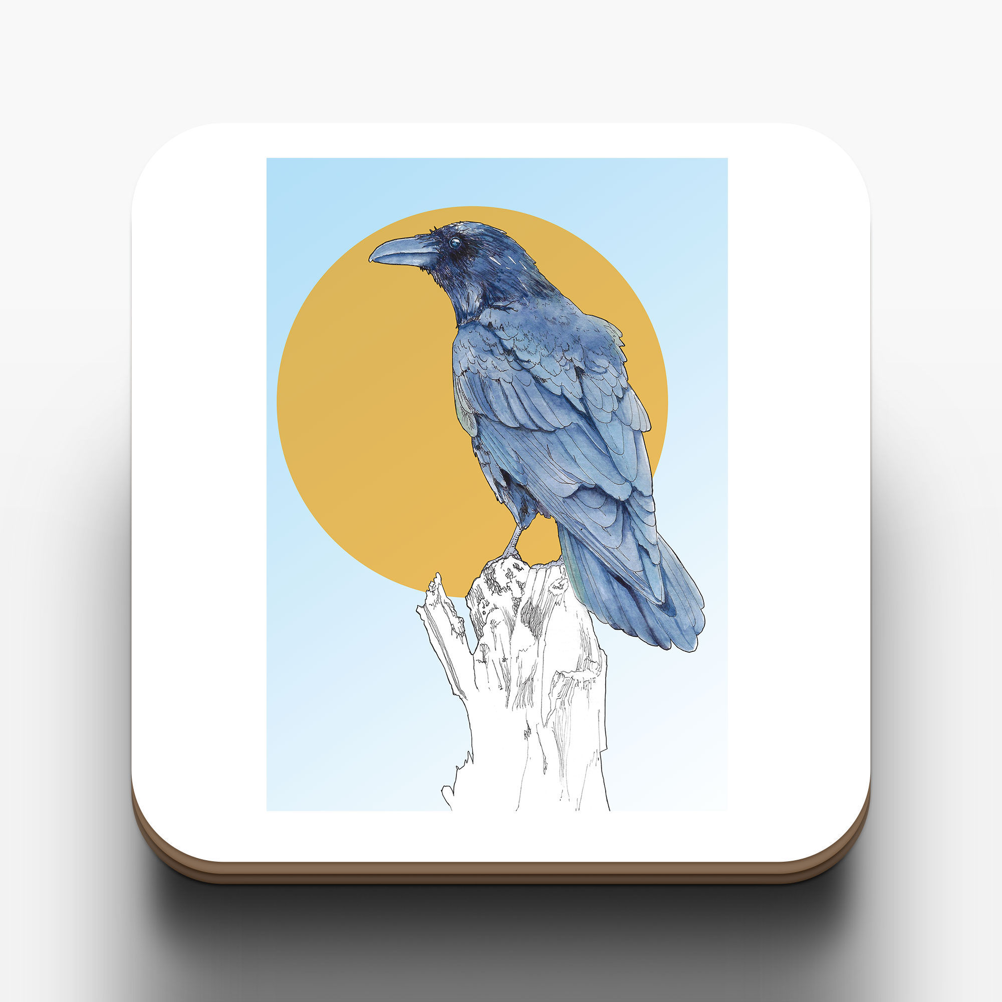 Crow - Corvid - British Wildlife - Nature - Coaster
