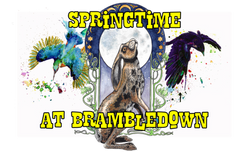 Website-Carousel-banner