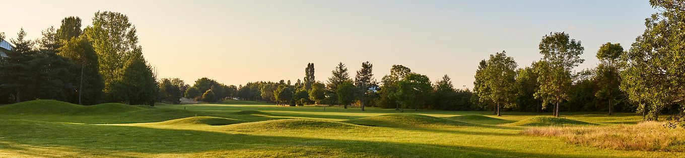 Vue en perspective d'un fairway de golf