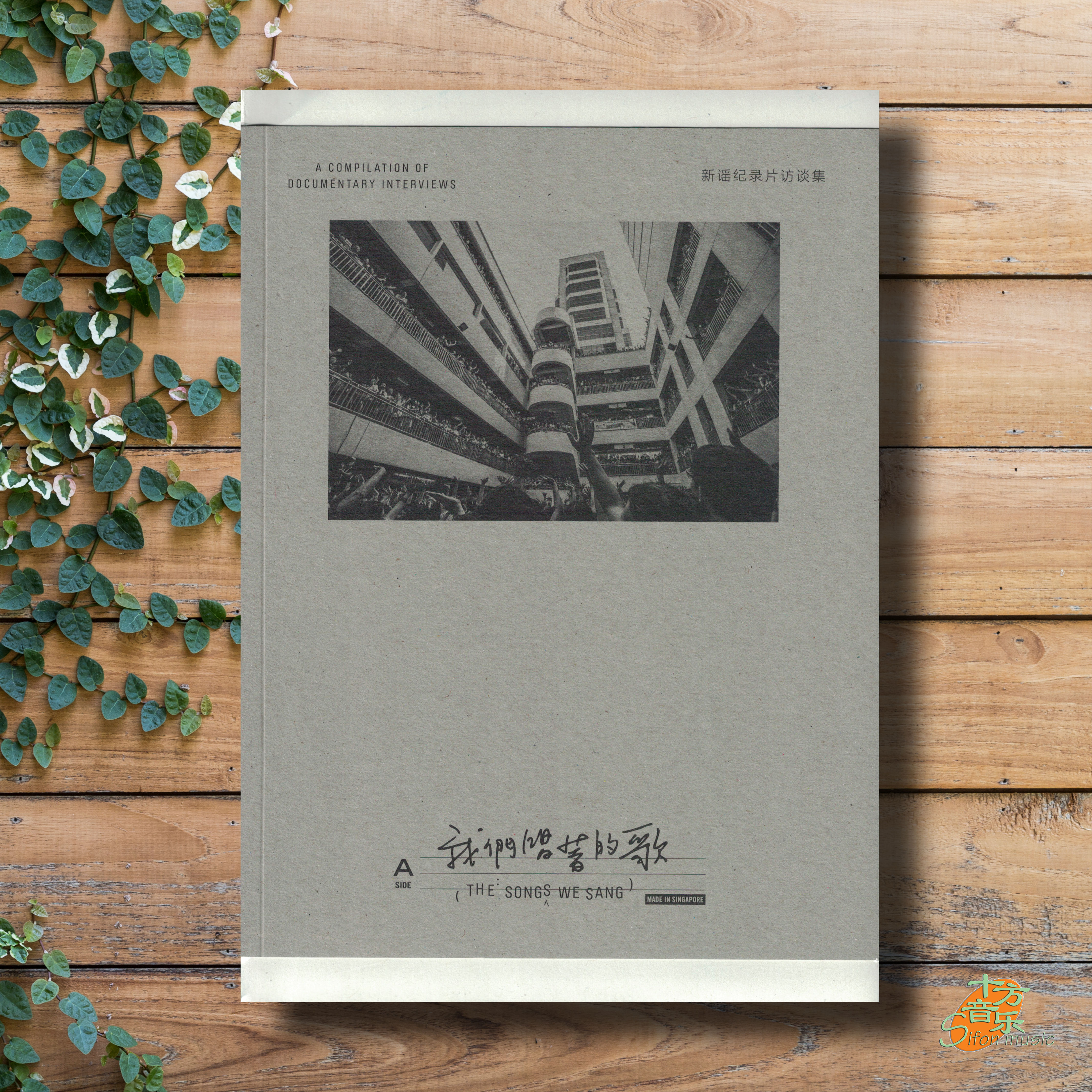 邓宝翠【我们唱着的歌】新谣纪录片访谈集