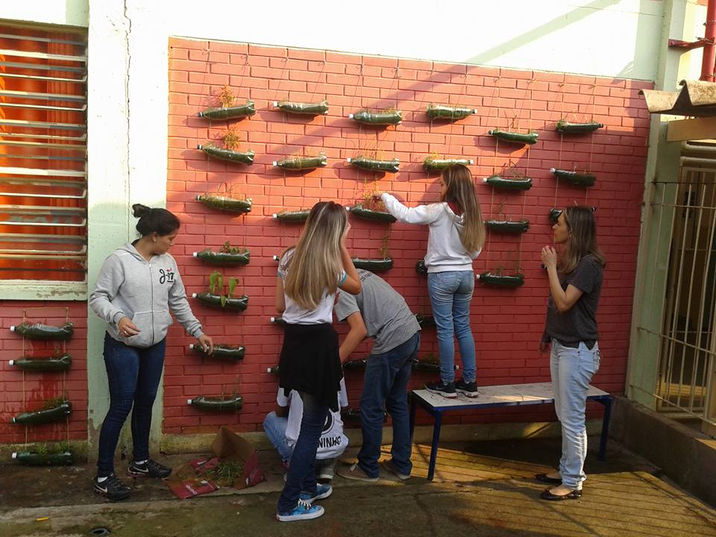 Eletivas José Vasques