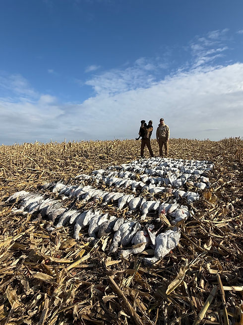 DAY 2 NApolean_edited.jpg